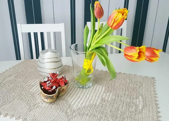 Luha Private House * Pärnu