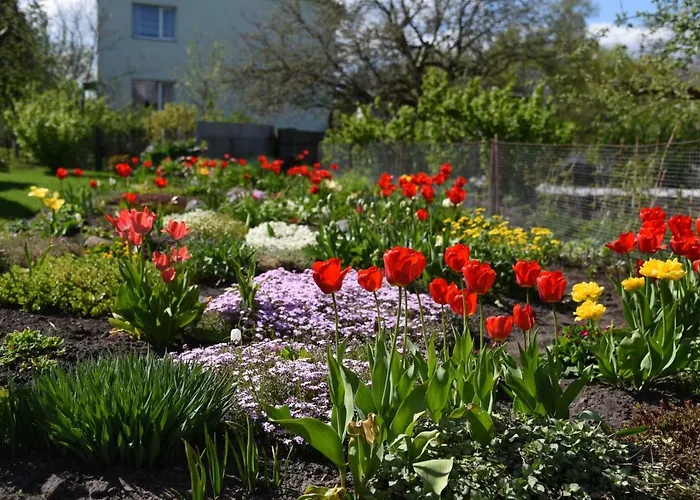 Luha Private House * Pärnu